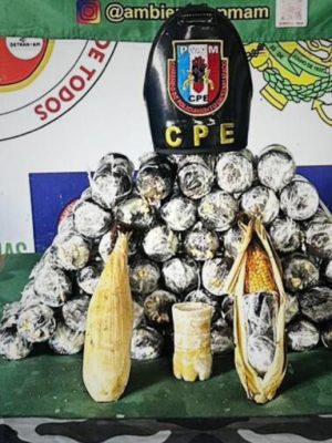 A Polícia Militar do Amazonas do Amazonas (SSP-AM) apreendeu, na manhã desta sexta-feira (24), cerca de 15 quilos de oxi moldados em formatos de espiga de milho, durante operação na Base Fluvial Arpão 1, nas proximidades de Coari (a 363 quilômetros de Manaus). A droga foi localizada com auxílio do cão policial Xerife e estava sendo transportada por uma mulher de 18 anos, que foi presa em flagrante. 