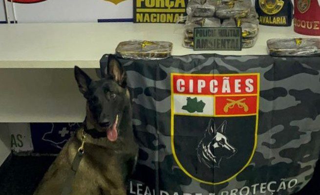 A Polícia Militar do Amazonas (PMAM), que atua na Base Fluvial Arpão 3, coordenada pela Secretaria de Segurança Pública do Amazonas (SSP-AM), apreendeu 13 quilos de cocaína, na segunda-feira (23/06), nas proximidades de Coari (a 363 quilômetros de Manaus). Um homem, de 22 anos, foi preso em flagrante pelo crime de tráfico de drogas.