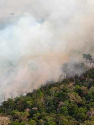 A Defensoria Pública do Amazonas (DPE-AM), por meio do Grupo de Articulação e Atuação Estratégica para Acesso à Justiça dos Grupos Vulneráveis e Vulnerabilizados (GAEGRUV), monitora as queimadas e incêndios florestais no Estado, que nos últimos anos têm se intensificado, resultando em nuvens de fumaça, que poluem o ar e prejudicam a saúde da população.