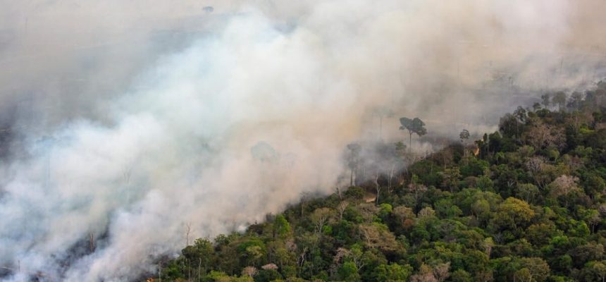 A Defensoria Pública do Amazonas (DPE-AM), por meio do Grupo de Articulação e Atuação Estratégica para Acesso à Justiça dos Grupos Vulneráveis e Vulnerabilizados (GAEGRUV), monitora as queimadas e incêndios florestais no Estado, que nos últimos anos têm se intensificado, resultando em nuvens de fumaça, que poluem o ar e prejudicam a saúde da população.